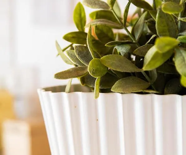 Vista Mare E Comfort In Centro Storico *