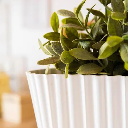 Vista Mare E Comfort In Centro Storico *